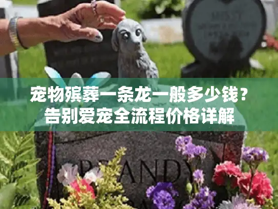 宠物殡葬一条龙一般多少钱？告别爱宠全流程价格详解