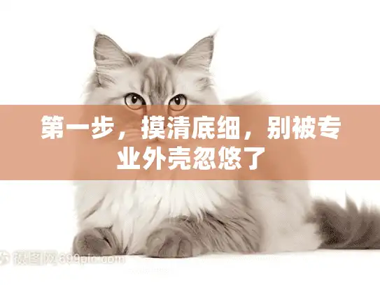 第一步，摸清底细，别被专业外壳忽悠了