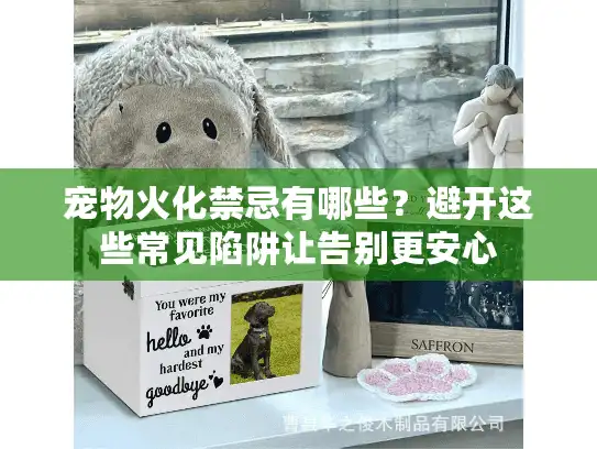 宠物火化禁忌有哪些？避开这些常见陷阱让告别更安心