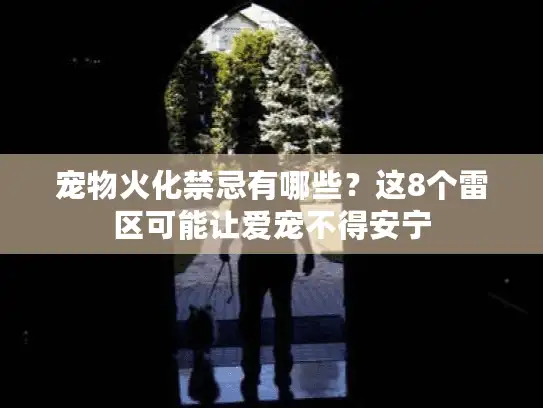 宠物火化禁忌有哪些？这8个雷区可能让爱宠不得安宁