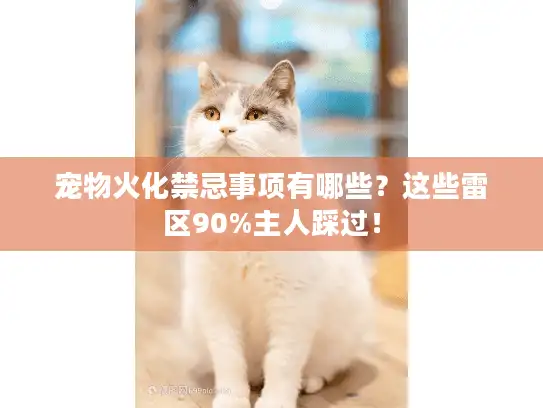 宠物火化禁忌事项有哪些？这些雷区90%主人踩过！