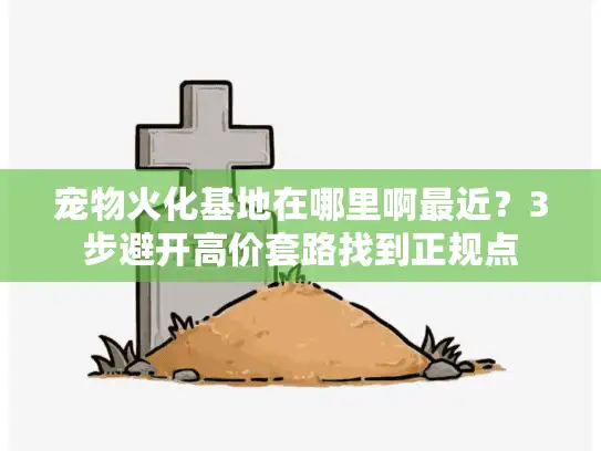 宠物火化基地在哪里啊最近？3步避开高价套路找到正规点