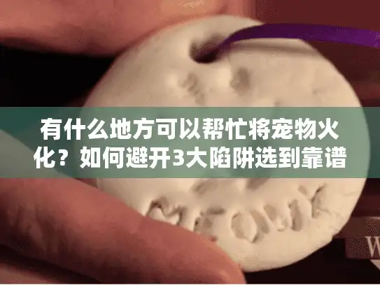 有什么地方可以帮忙将宠物火化？如何避开3大陷阱选到靠谱服务
