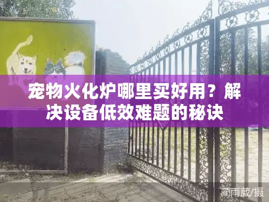 宠物火化炉哪里买好用？解决设备低效难题的秘诀