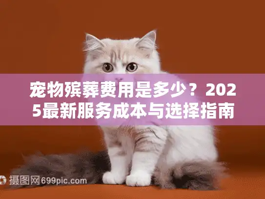 宠物殡葬费用是多少？2025最新服务成本与选择指南