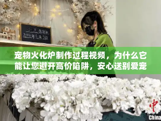宠物火化炉制作过程视频，为什么它能让您避开高价陷阱，安心送别爱宠？