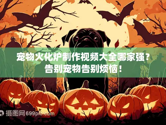 宠物火化炉制作视频大全哪家强？告别宠物告别烦恼！