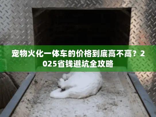 宠物火化一体车的价格到底高不高？2025省钱避坑全攻略