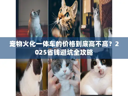 宠物火化一体车的价格到底高不高？2025省钱避坑全攻略