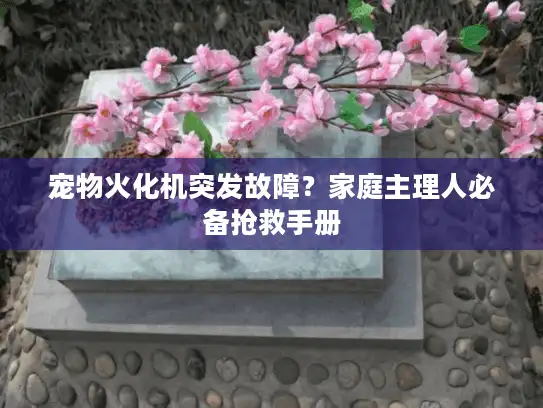 宠物火化机突发故障？家庭主理人必备抢救手册