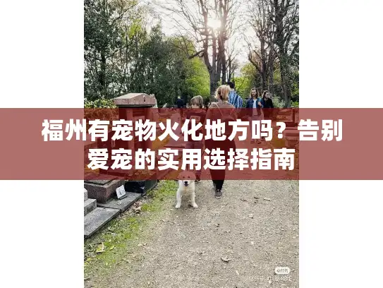 福州有宠物火化地方吗？告别爱宠的实用选择指南