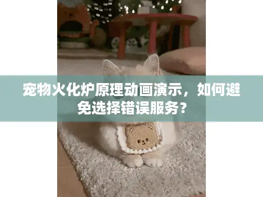 宠物火化炉原理动画演示，如何避免选择错误服务？