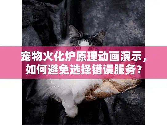 宠物火化炉原理动画演示，如何避免选择错误服务？