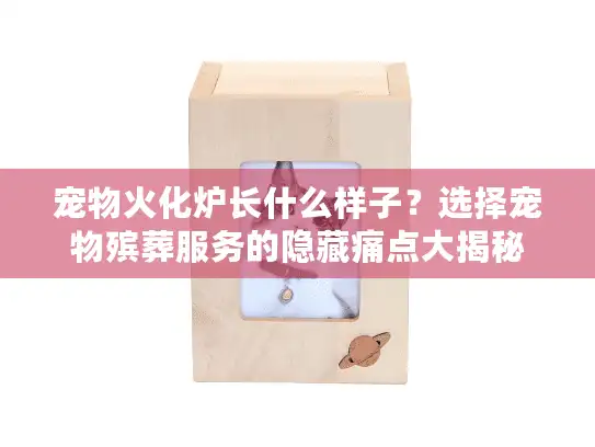 宠物火化炉长什么样子？选择宠物殡葬服务的隐藏痛点大揭秘