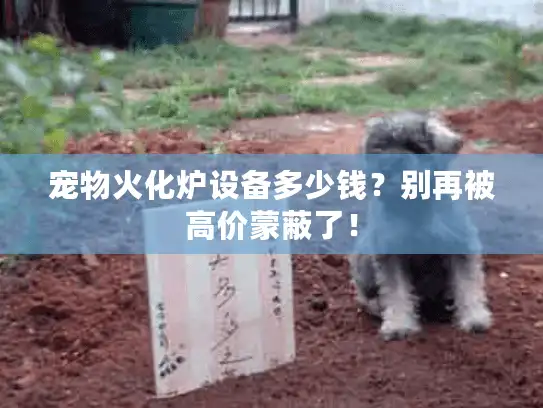 宠物火化炉设备多少钱？别再被高价蒙蔽了！