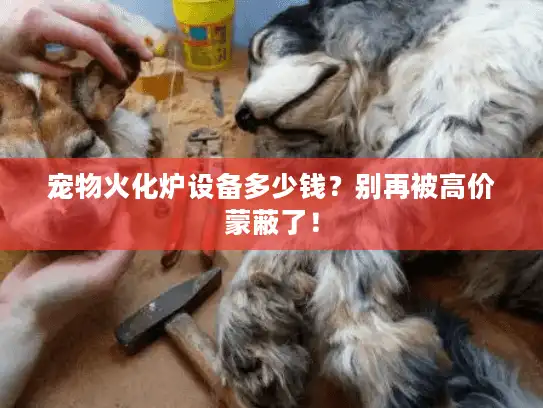 宠物火化炉设备多少钱？别再被高价蒙蔽了！