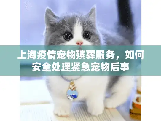 上海疫情宠物殡葬服务，如何安全处理紧急宠物后事