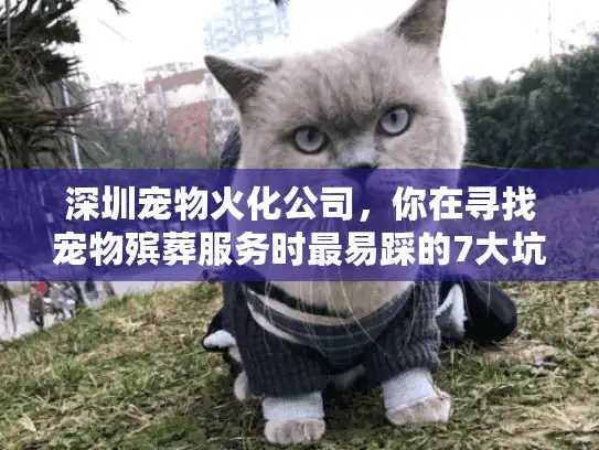 深圳宠物火化公司，你在寻找宠物殡葬服务时最易踩的7大坑？