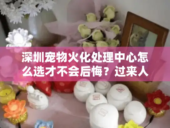 深圳宠物火化处理中心怎么选才不会后悔？过来人含泪总结避坑点