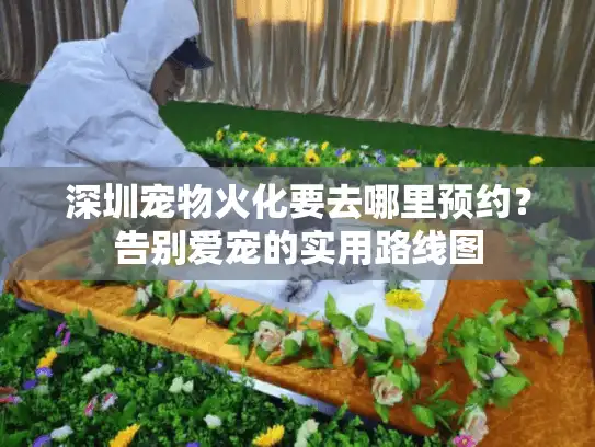 深圳宠物火化要去哪里预约？告别爱宠的实用路线图