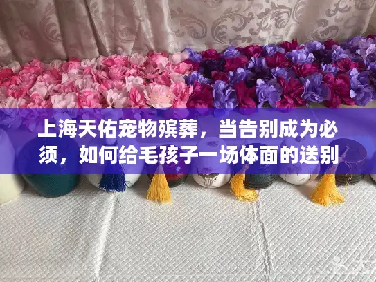 上海天佑宠物殡葬，当告别成为必须，如何给毛孩子一场体面的送别？