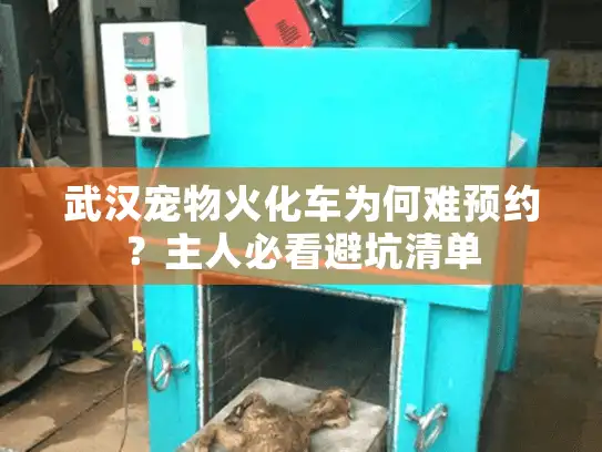 武汉宠物火化车为何难预约？主人必看避坑清单