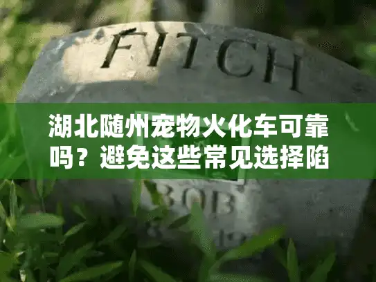 湖北随州宠物火化车可靠吗？避免这些常见选择陷阱！