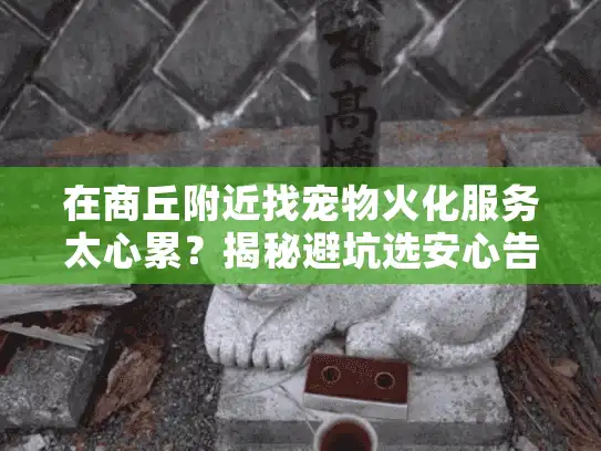 在商丘附近找宠物火化服务太心累？揭秘避坑选安心告别的实战技巧