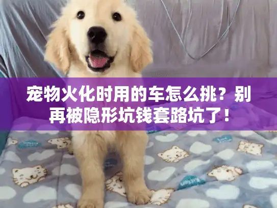 宠物火化时用的车怎么挑？别再被隐形坑钱套路坑了！