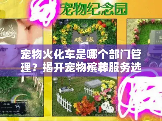 宠物火化车是哪个部门管理？揭开宠物殡葬服务选择困惑的关键指南