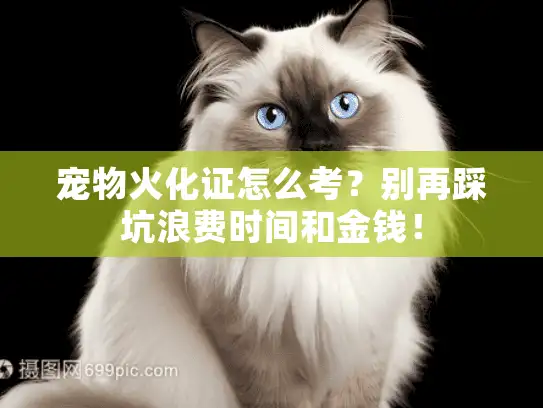 宠物火化证怎么考？别再踩坑浪费时间和金钱！