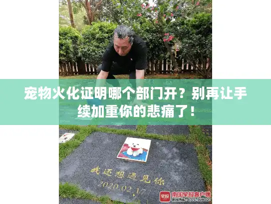 宠物火化证明哪个部门开？别再让手续加重你的悲痛了！