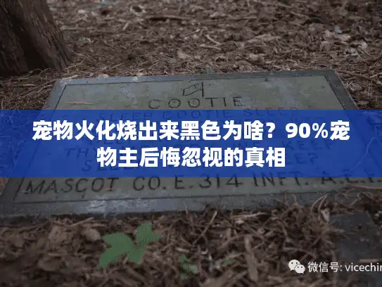 宠物火化烧出来黑色为啥？90%宠物主后悔忽视的真相