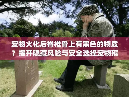 宠物火化后脊椎骨上有黑色的物质？揭开隐藏风险与安全选择宠物殡葬秘诀
