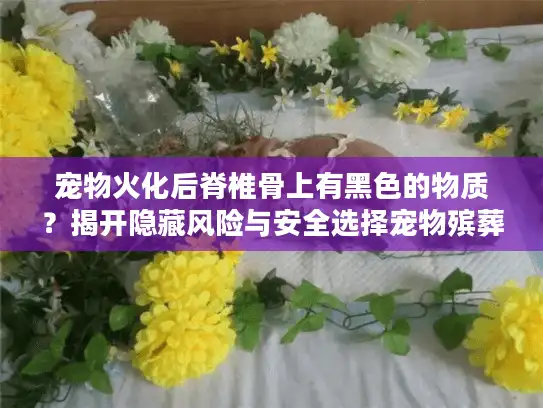 宠物火化后脊椎骨上有黑色的物质？揭开隐藏风险与安全选择宠物殡葬秘诀
