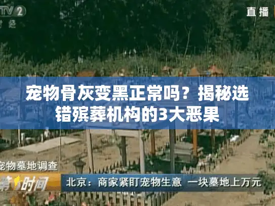 宠物骨灰变黑正常吗？揭秘选错殡葬机构的3大恶果