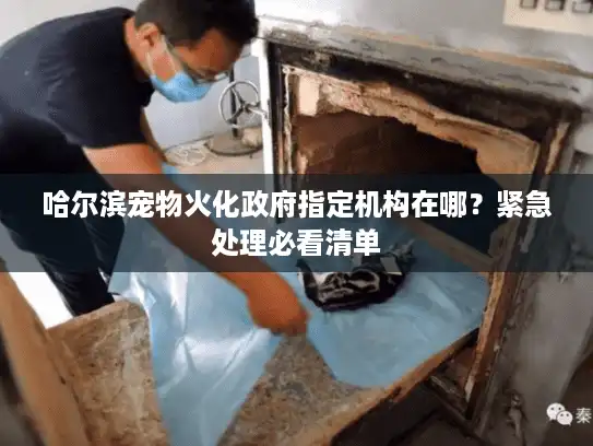 哈尔滨宠物火化政府指定机构在哪？紧急处理必看清单