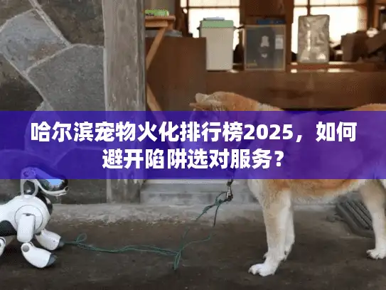 哈尔滨宠物火化排行榜2025，如何避开陷阱选对服务？
