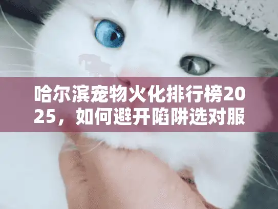 哈尔滨宠物火化排行榜2025，如何避开陷阱选对服务？