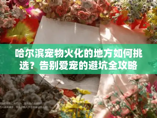 哈尔滨宠物火化的地方如何挑选？告别爱宠的避坑全攻略