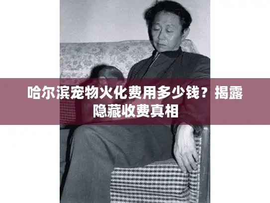 哈尔滨宠物火化费用多少钱？揭露隐藏收费真相