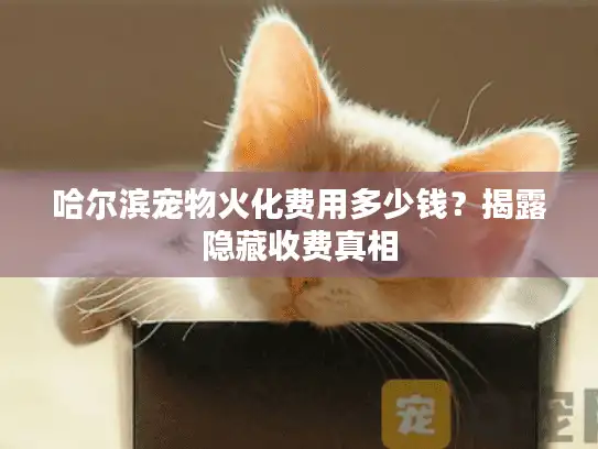 哈尔滨宠物火化费用多少钱？揭露隐藏收费真相