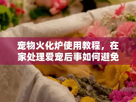 宠物火化炉使用教程，在家处理爱宠后事如何避免安全隐患？