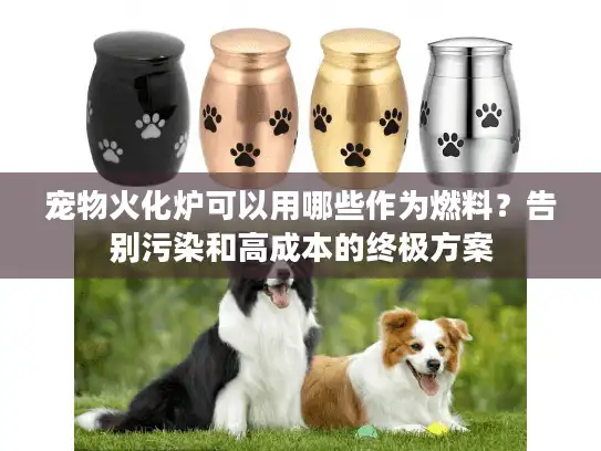 宠物火化炉可以用哪些作为燃料？告别污染和高成本的终极方案
