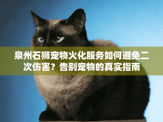 泉州石狮宠物火化服务如何避免二次伤害？告别宠物的真实指南