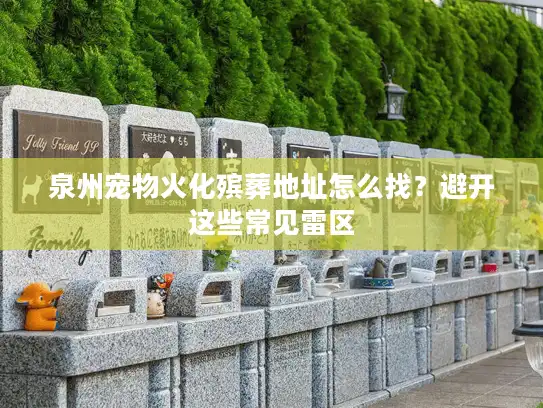泉州宠物火化殡葬地址怎么找？避开这些常见雷区