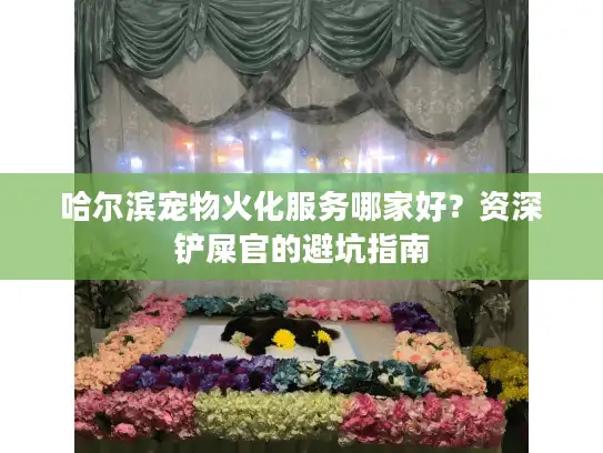 哈尔滨宠物火化服务哪家好？资深铲屎官的避坑指南