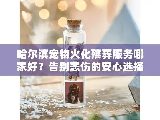 哈尔滨宠物火化殡葬服务哪家好？告别悲伤的安心选择