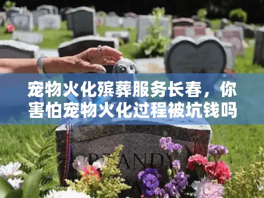 宠物火化殡葬服务长春，你害怕宠物火化过程被坑钱吗？