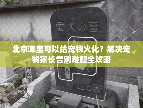 北京哪里可以给宠物火化？解决宠物家长告别难题全攻略